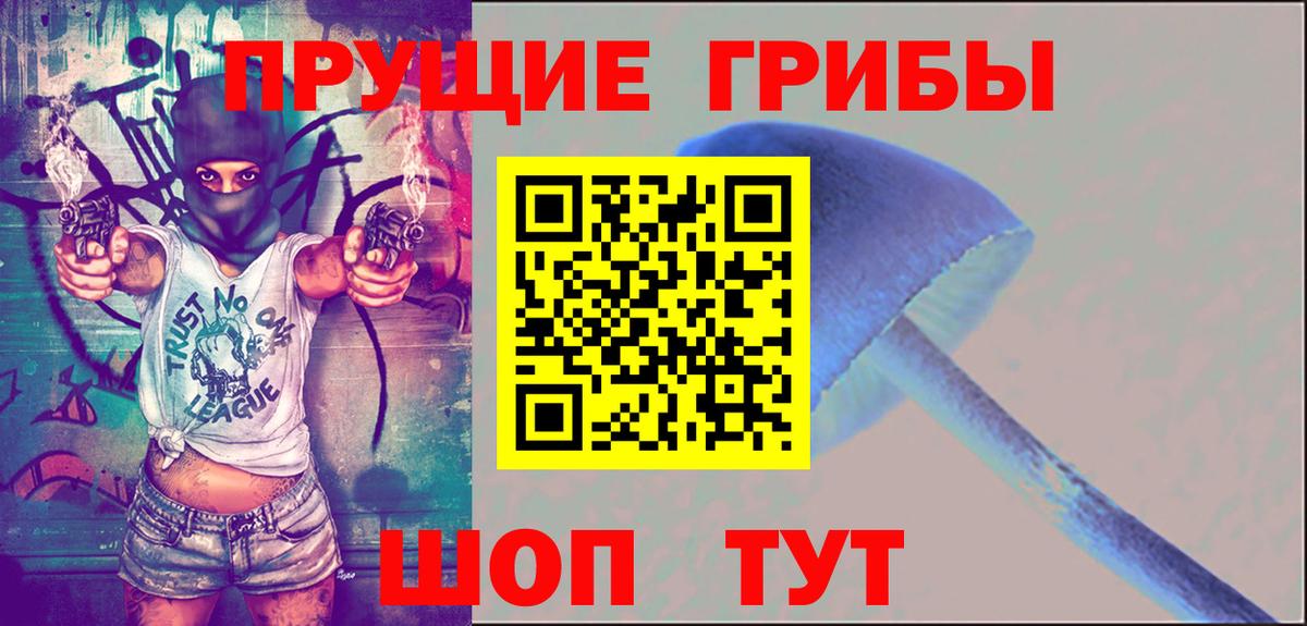 Великий Новгород  Псилоцибиновые грибы прущие грибы  Вход с VPN 